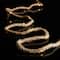 10ft. LED Rope String Lights by Ashland™